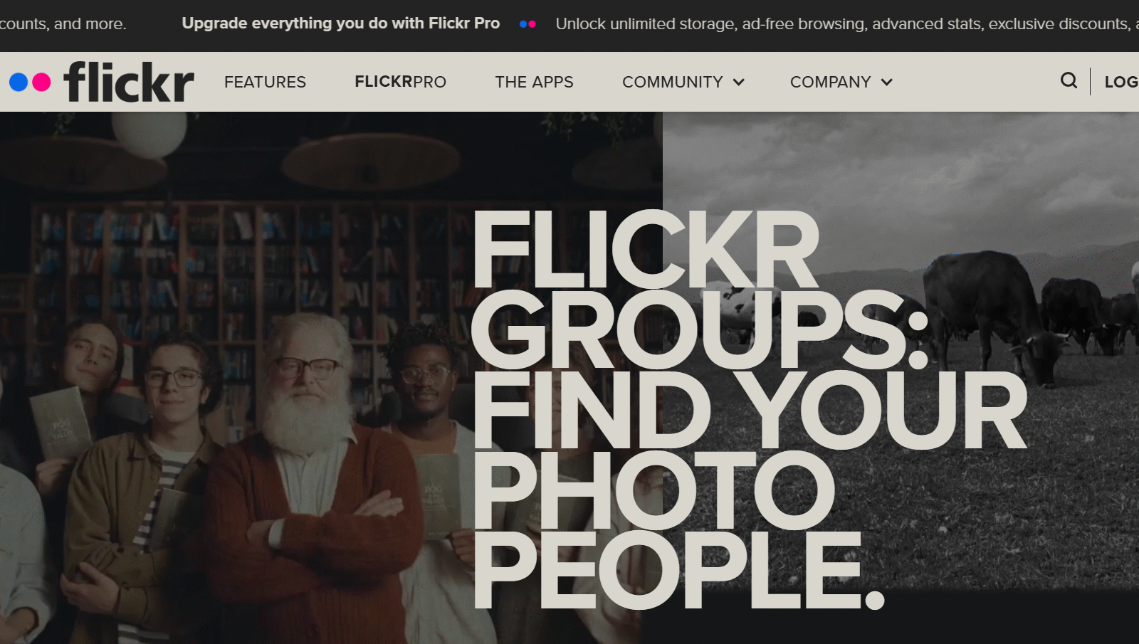 Flickr